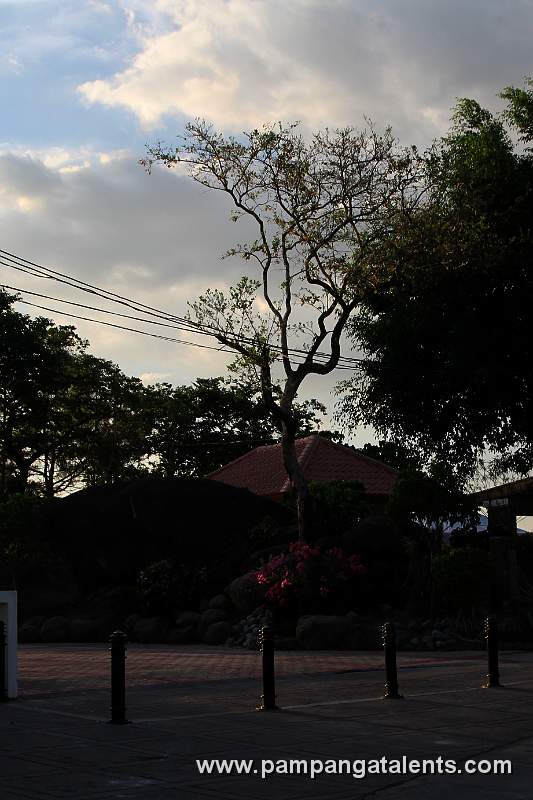 Surroundings