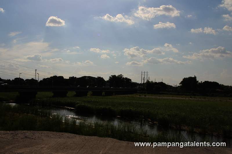 Aquino Bridge
