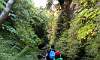 Path to Mt. Pinatubo  Location: Central Luzon Philippines