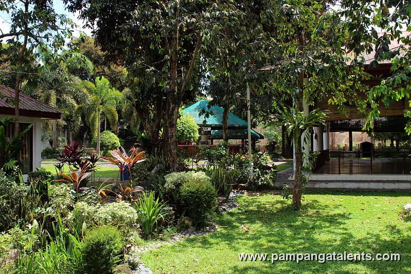 Garden (Mt. Pinatubo Trip Registrations Office)