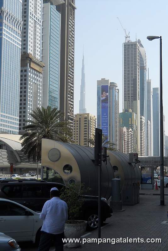 Dubai City View		