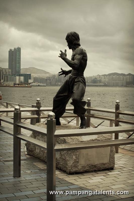 Bruce Lee Statue on Avenue of Stars (Back view with Kowloon background)